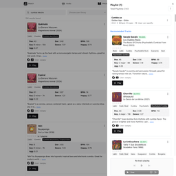 Optimizing Vinyl Playlists with AI and Audio Analysis